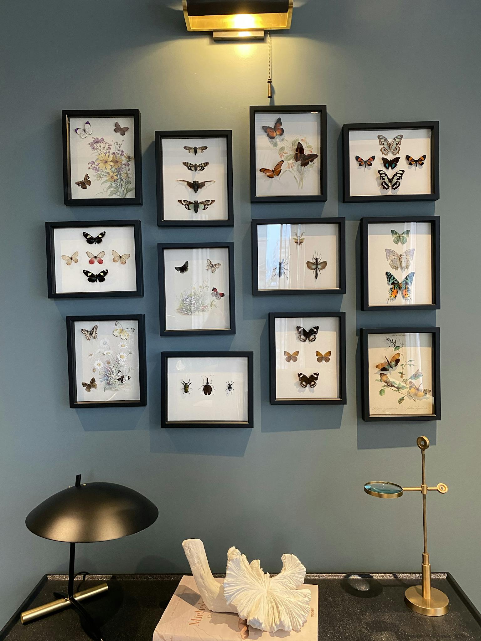 Framed butterfly art collection displayed on a wall with decor. Perfect for modern interiors.
